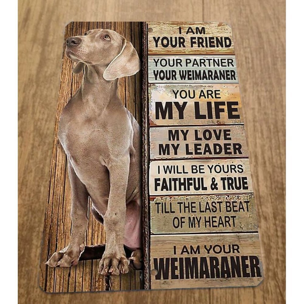 I‎ am Your Weimaraner Dog Friend 8x12 Metal Wall Animal Sign